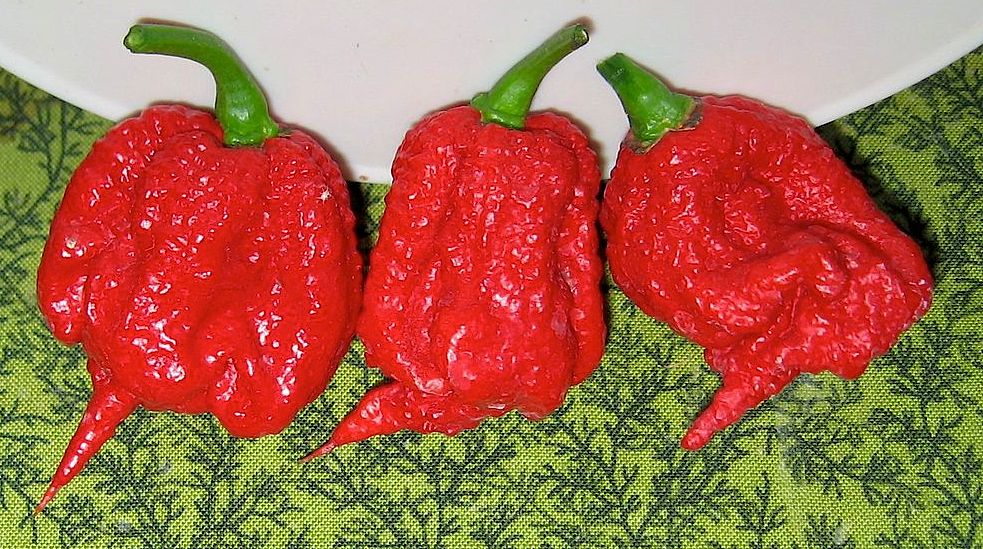 carolina reaper vs ghost pepper