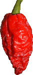 Naga Jolokia Hottest Pepper
