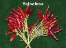 Yatsafusa Chile Pepper Seeds